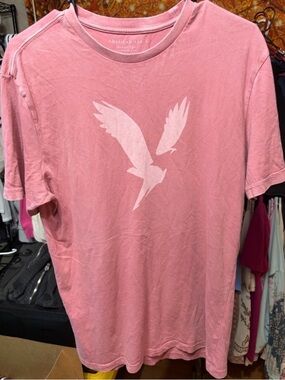 ✨ American Eagle Super Soft Pink Flying Eagle Graphic T-Shirt | Small ✨